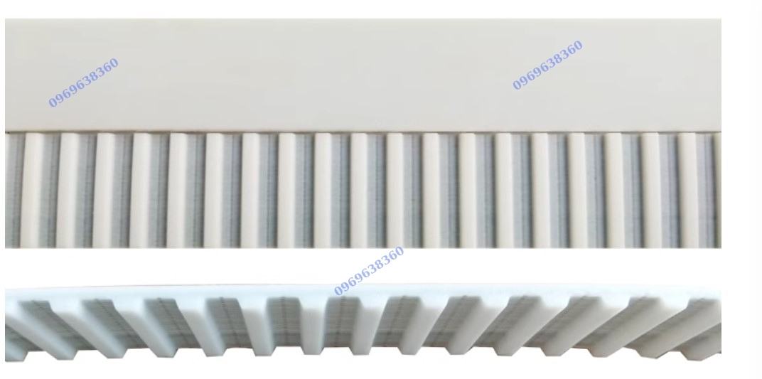 DÂY CUROA RĂNG L XL XXL PU LÕI THÉP